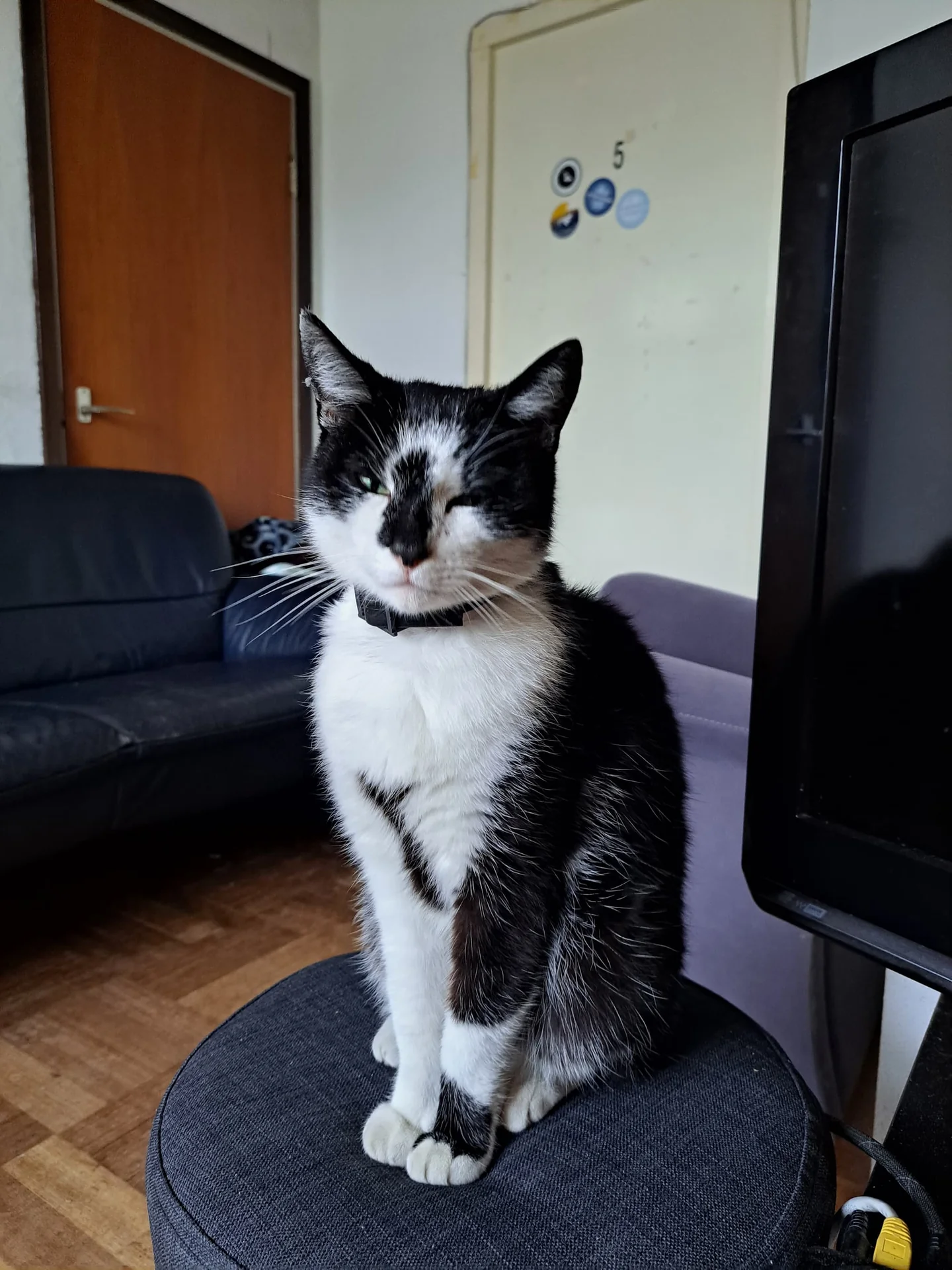 geblurde versie van de foto als achtergrond