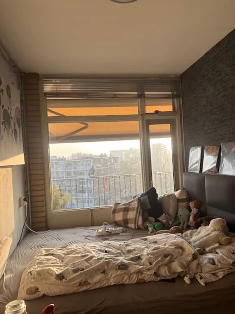 geblurde versie van de foto als achtergrond