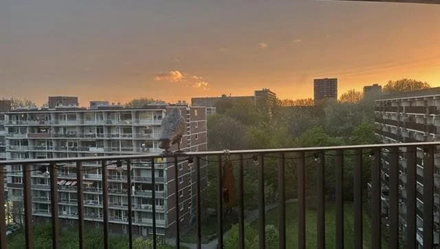 Foto van de Kamer gelegen aan de Briandplaats in Rotterdam