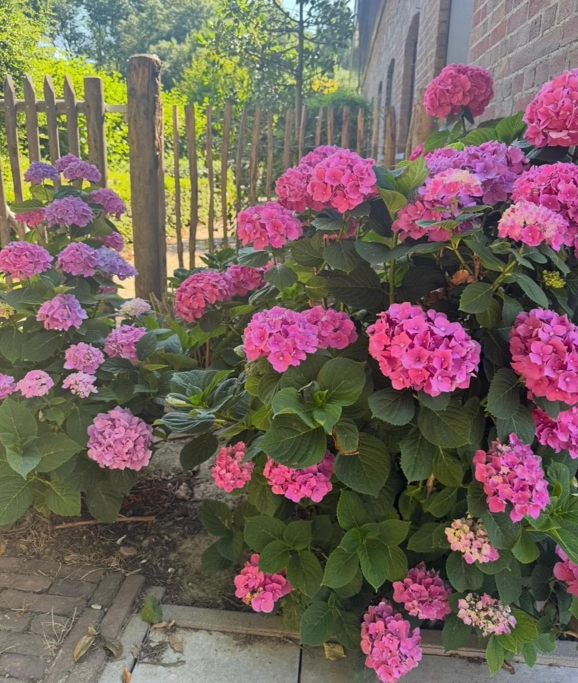 Foto van de Appartement gelegen aan de Brusselseweg in Maastricht
