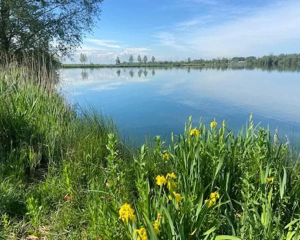 Foto van de Kamer gelegen aan de Puttershof in Vleuten
