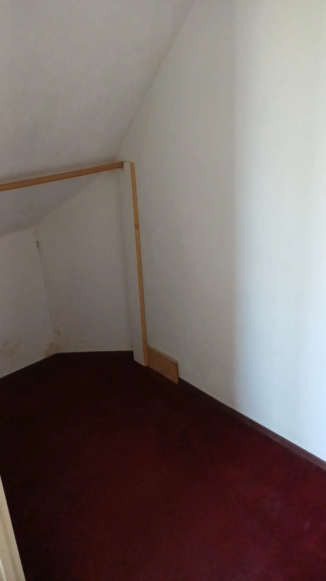 Foto van de Kamer gelegen aan de Daalseweg in Nijmegen