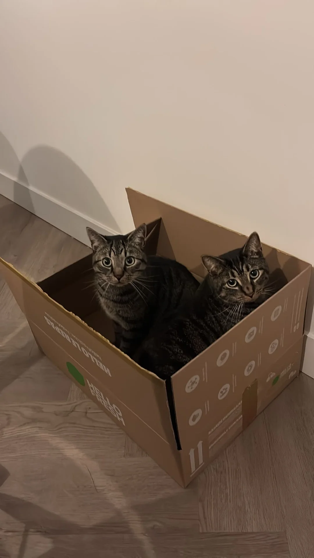 Foto van de Appartement gelegen aan de Rijnsburgstraat in Amsterdam