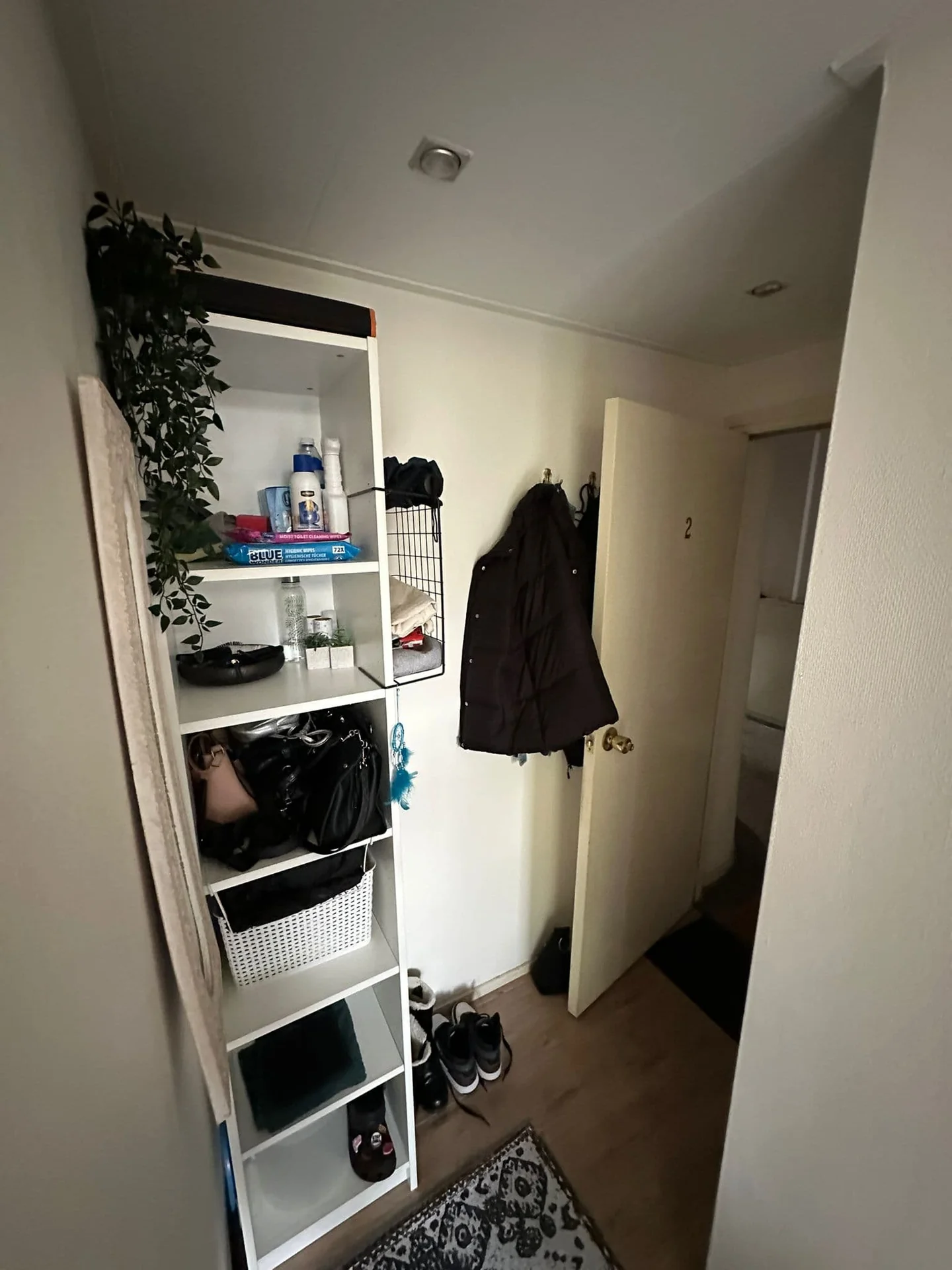 Foto van de Kamer gelegen aan de Hugo de Grootstraat in Delft