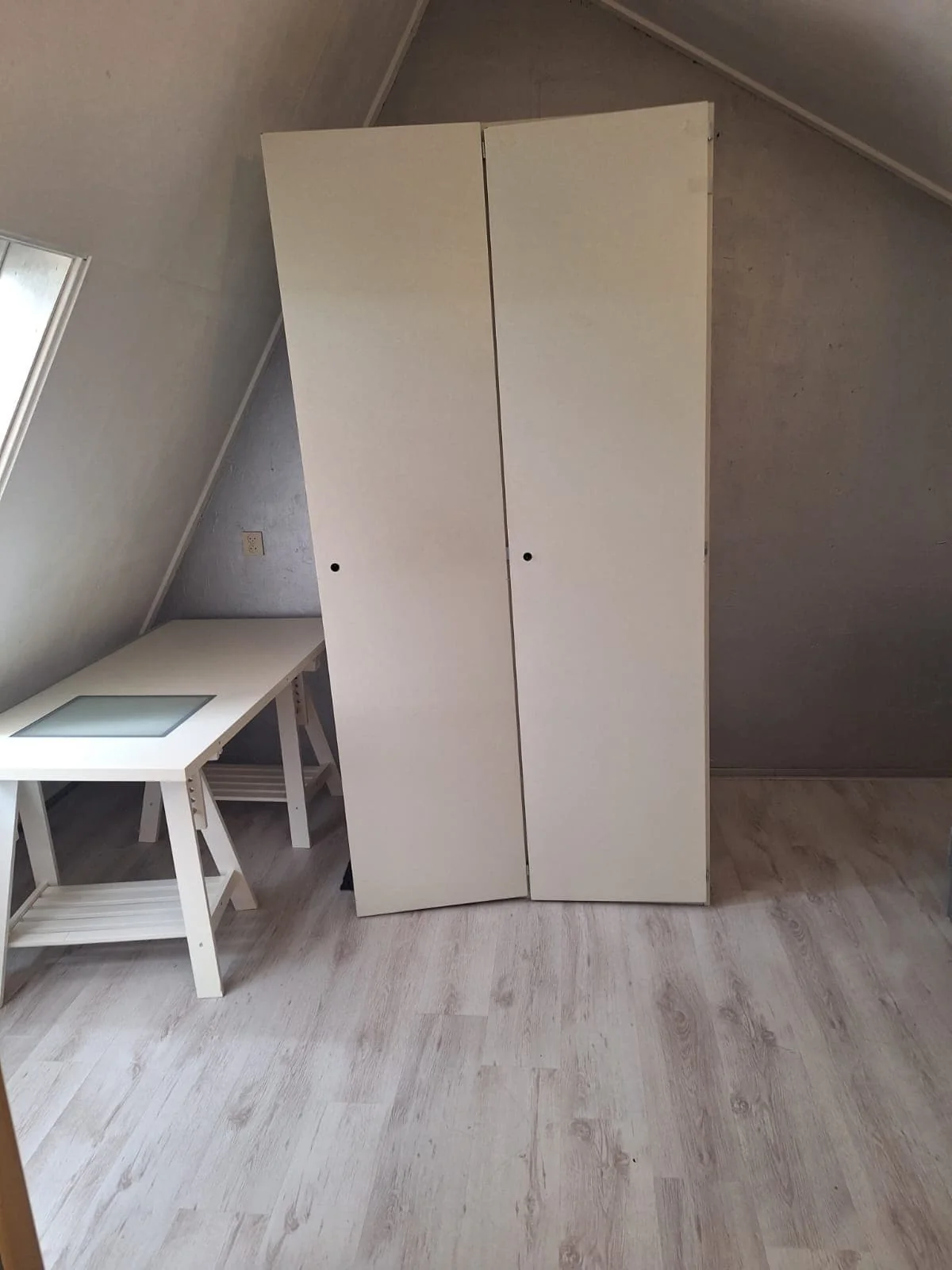 geblurde versie van de foto als achtergrond