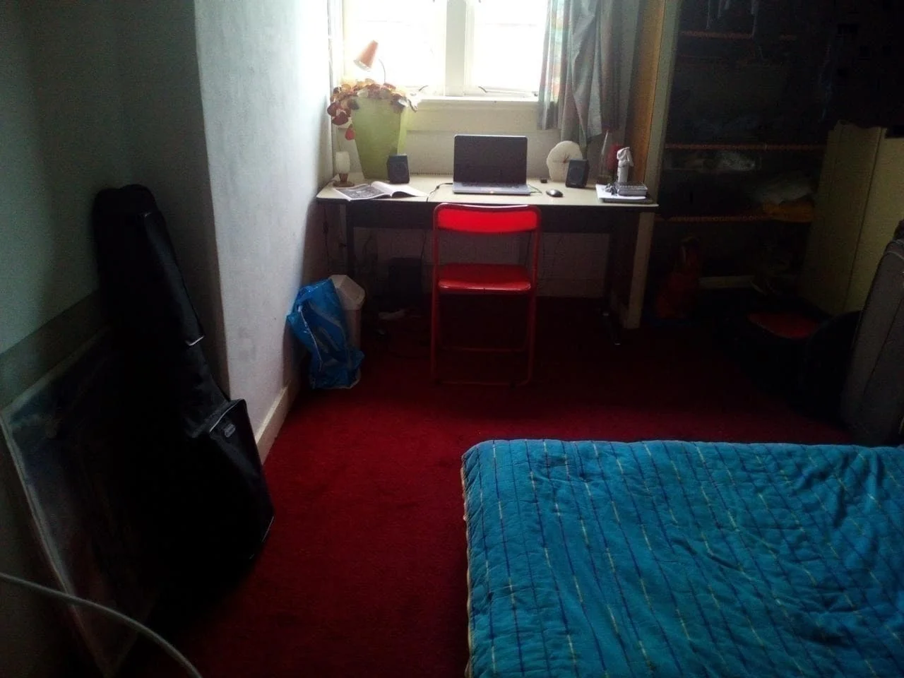 geblurde versie van de foto als achtergrond