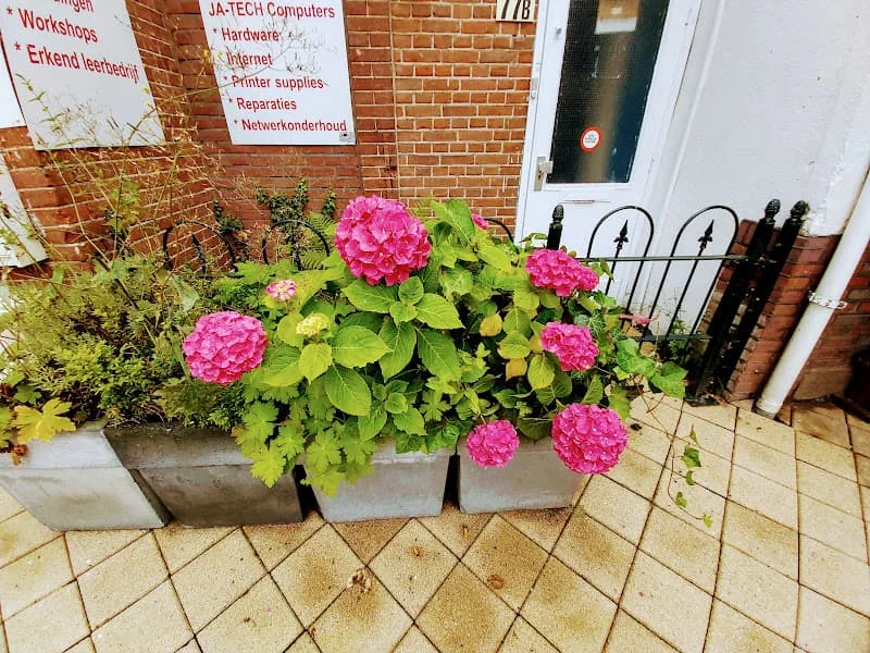 Foto van de Kamer gelegen aan de Steynlaan in Zeist