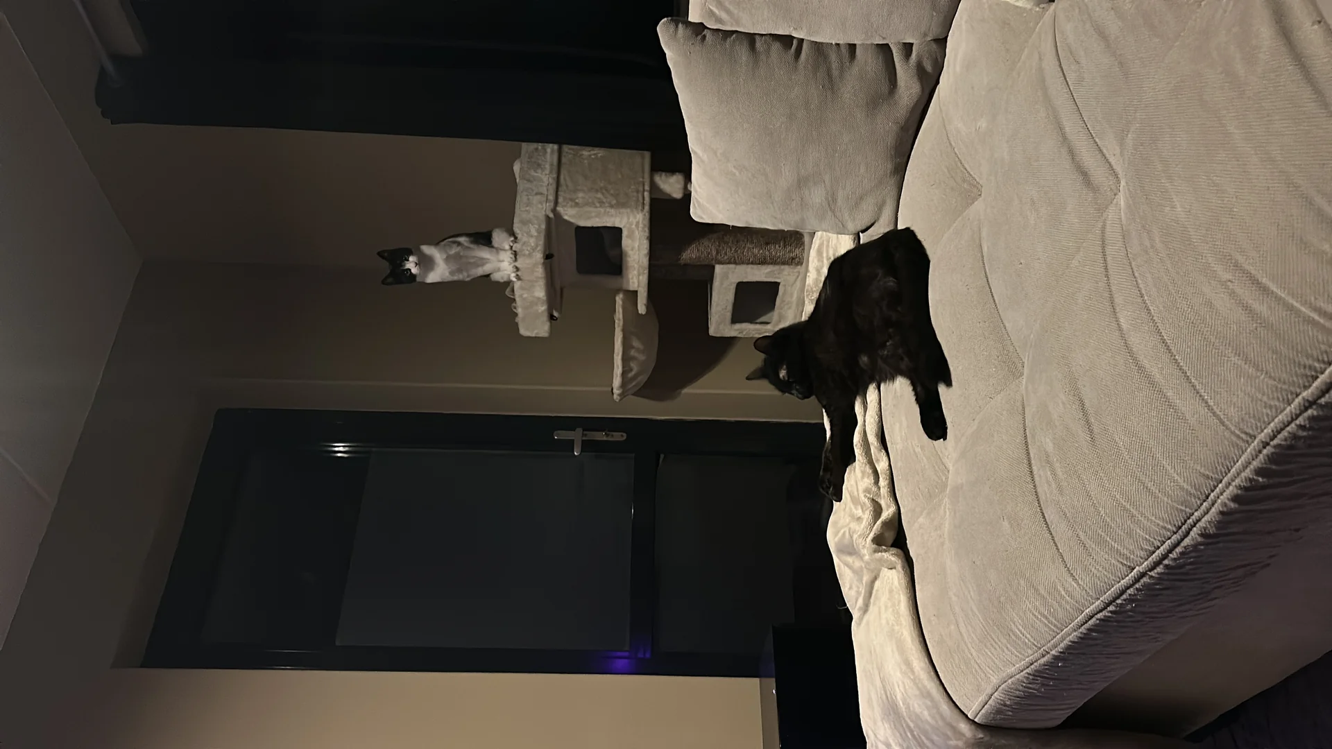 Foto van de Kamer gelegen aan de Bernard de Wildestraat in Breda