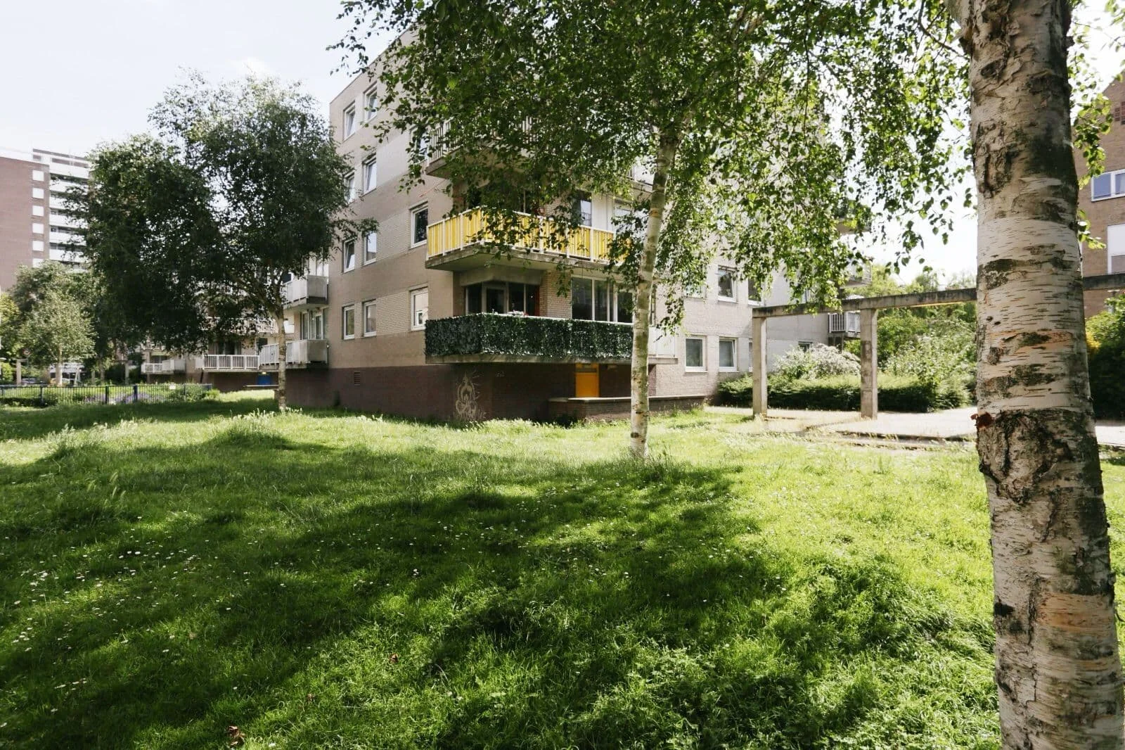 geblurde versie van de foto als achtergrond