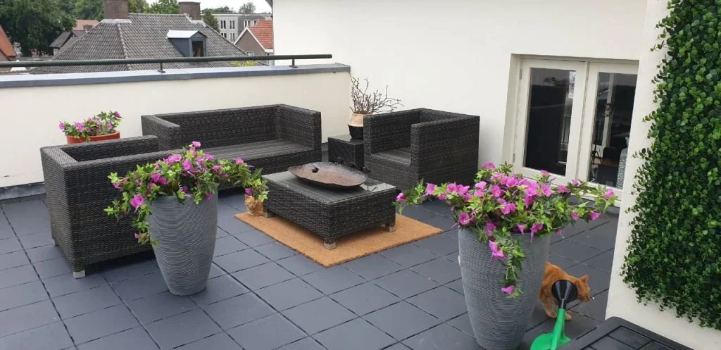 geblurde versie van de foto als achtergrond