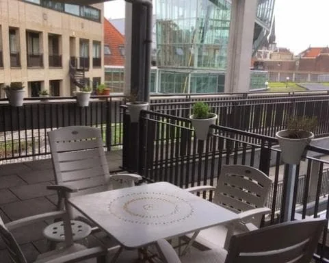 geblurde versie van de foto als achtergrond