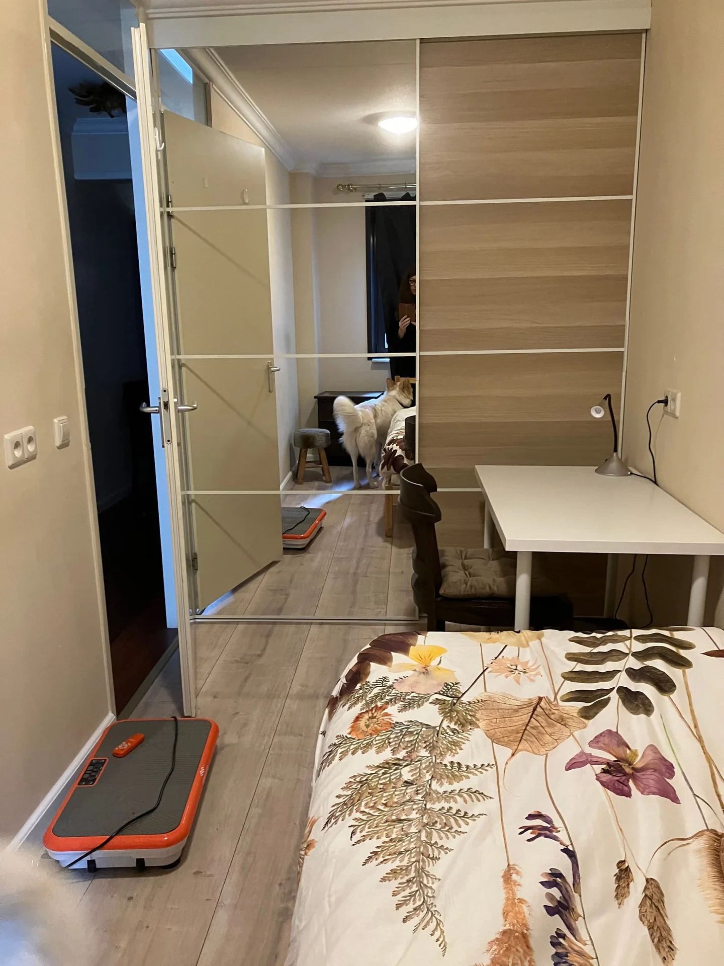 geblurde versie van de foto als achtergrond