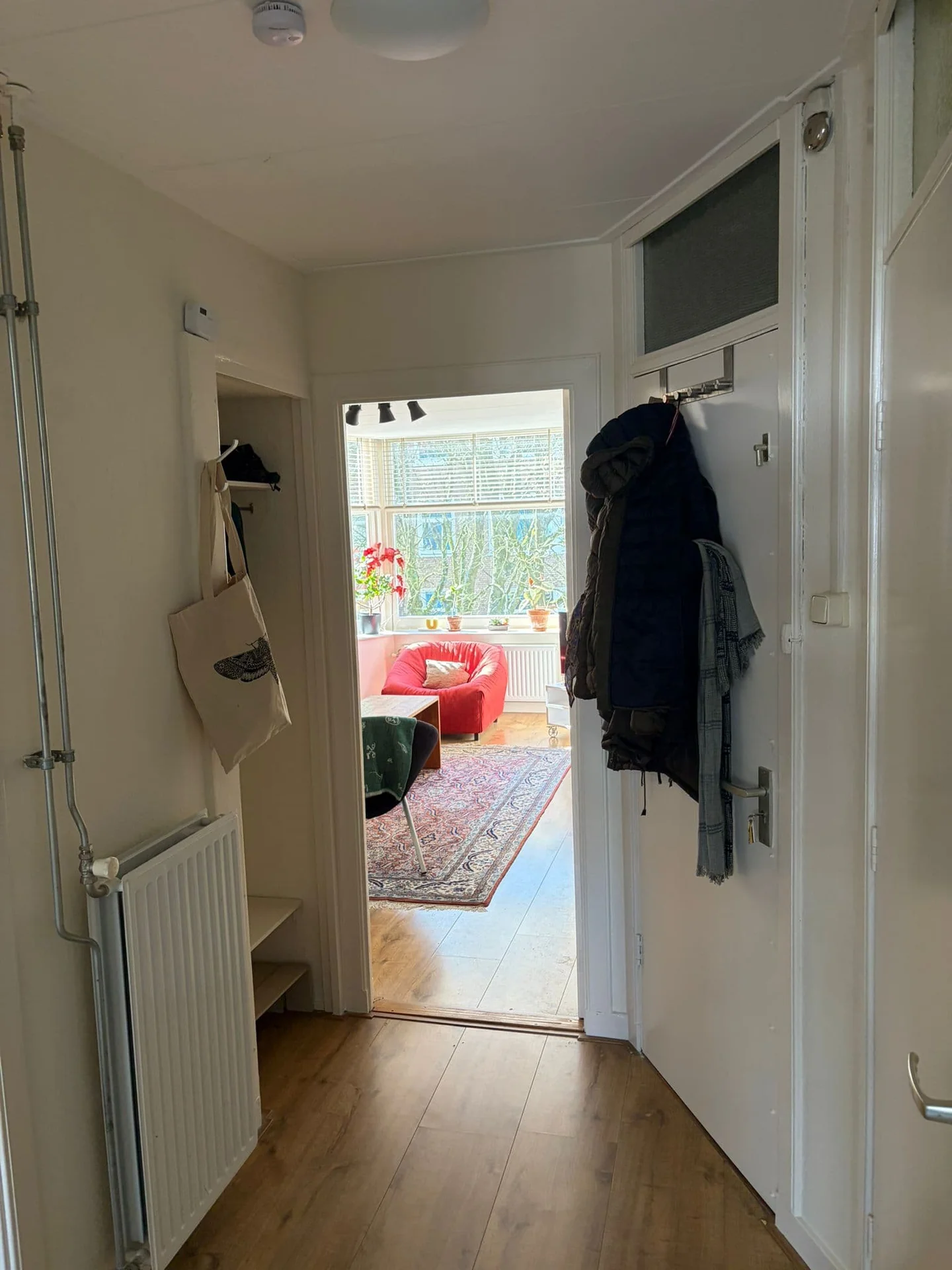 geblurde versie van de foto als achtergrond