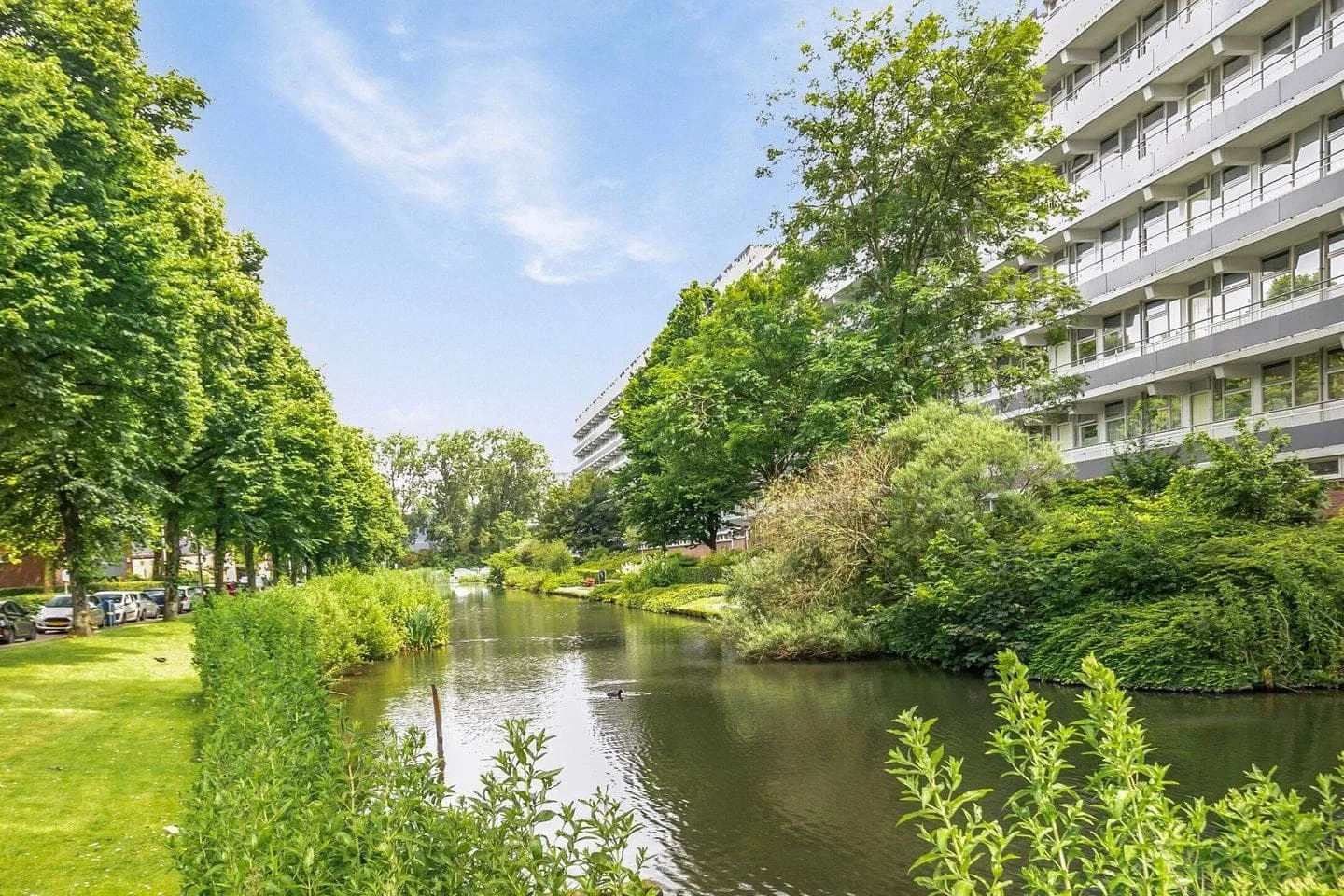 Foto van de Kamer gelegen aan de Hendrik Tollensstraat in Delft