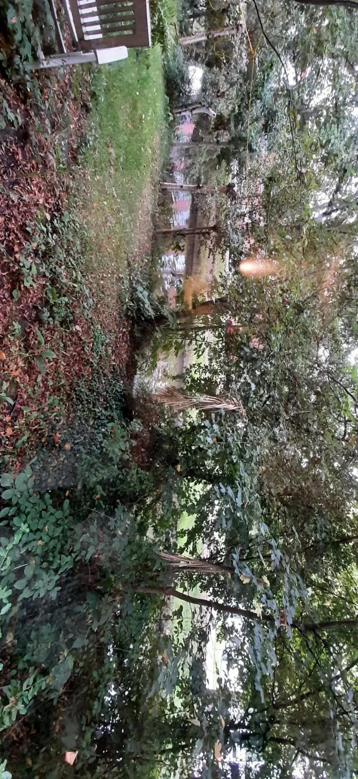 Foto van de Kamer gelegen aan de Clara van Sparwoudestraat in Delft