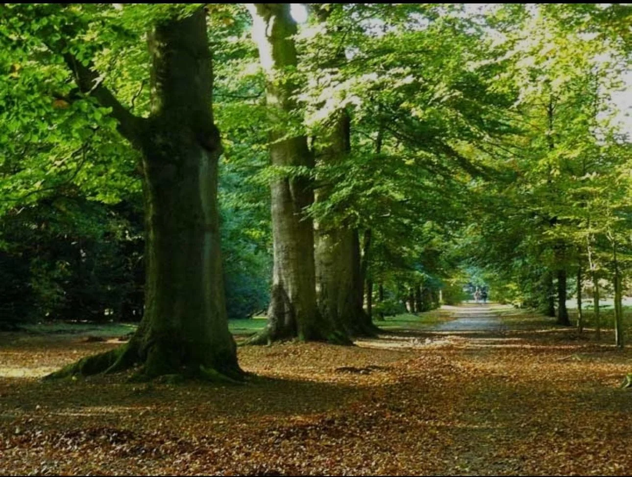 Foto van de Kamer gelegen aan de Kanunnik Mijllinckstraat in Nijmegen