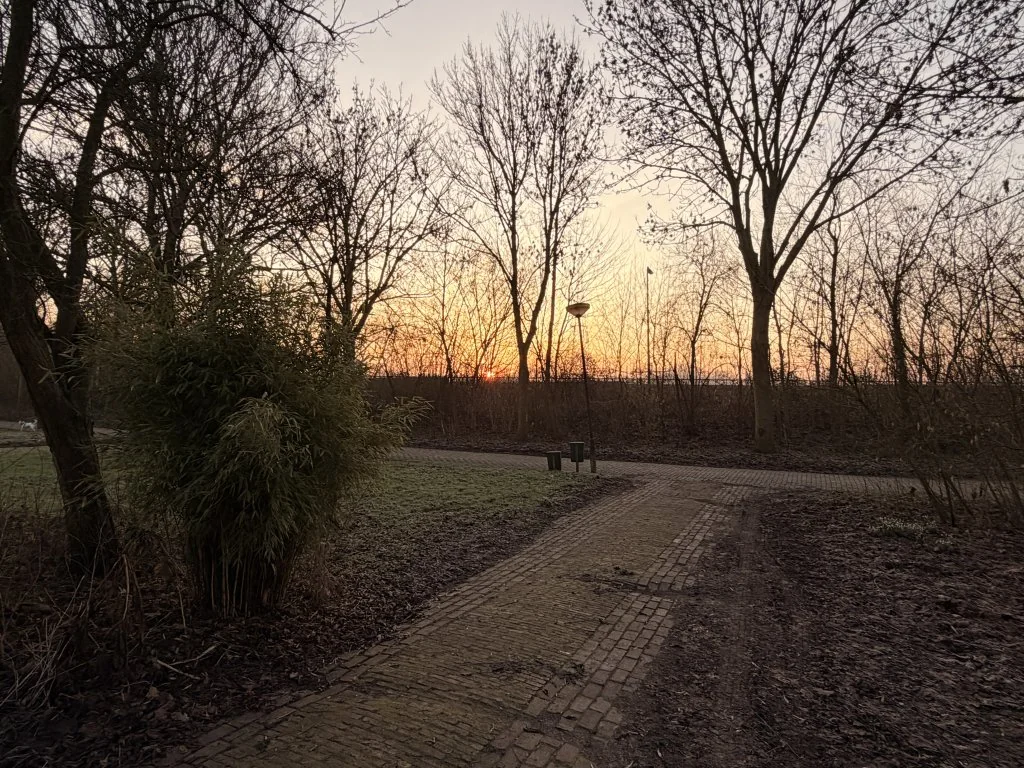 Foto van de Appartement gelegen aan de Prof. Feldmannweg in Zwolle