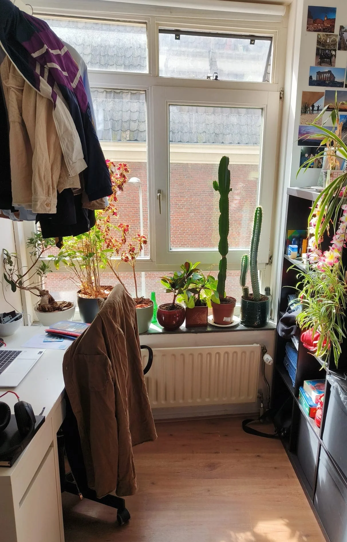 geblurde versie van de foto als achtergrond