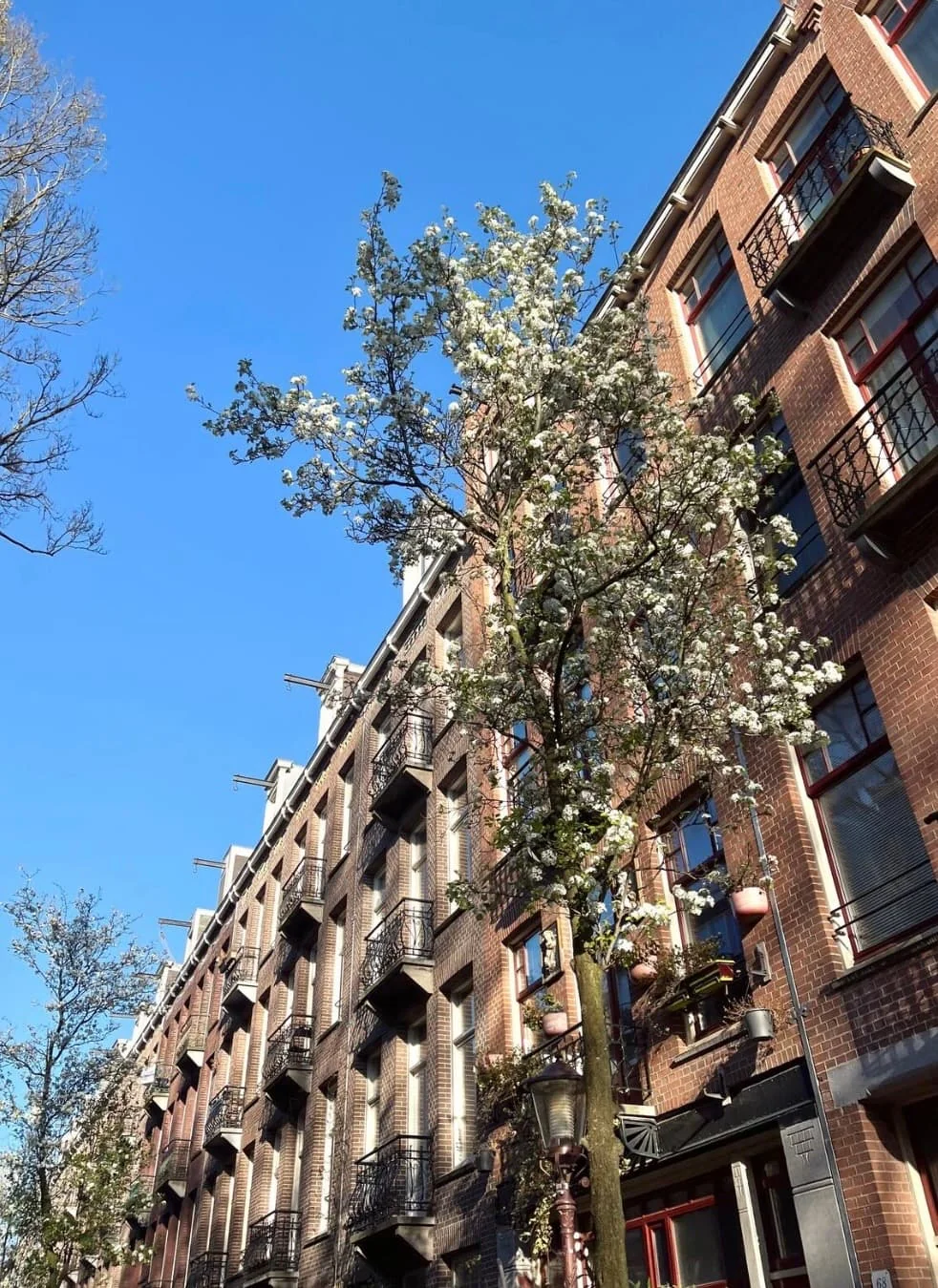Foto van de Appartement gelegen aan de Vrolikstraat in Amsterdam