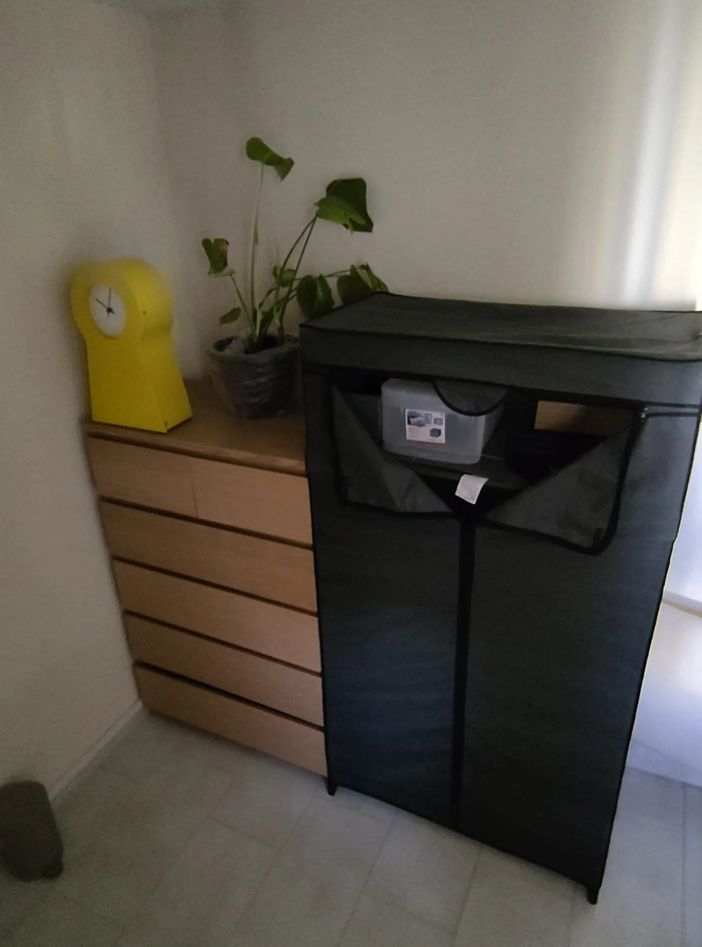 Foto van de Kamer gelegen aan de Schiedamseweg in Rotterdam