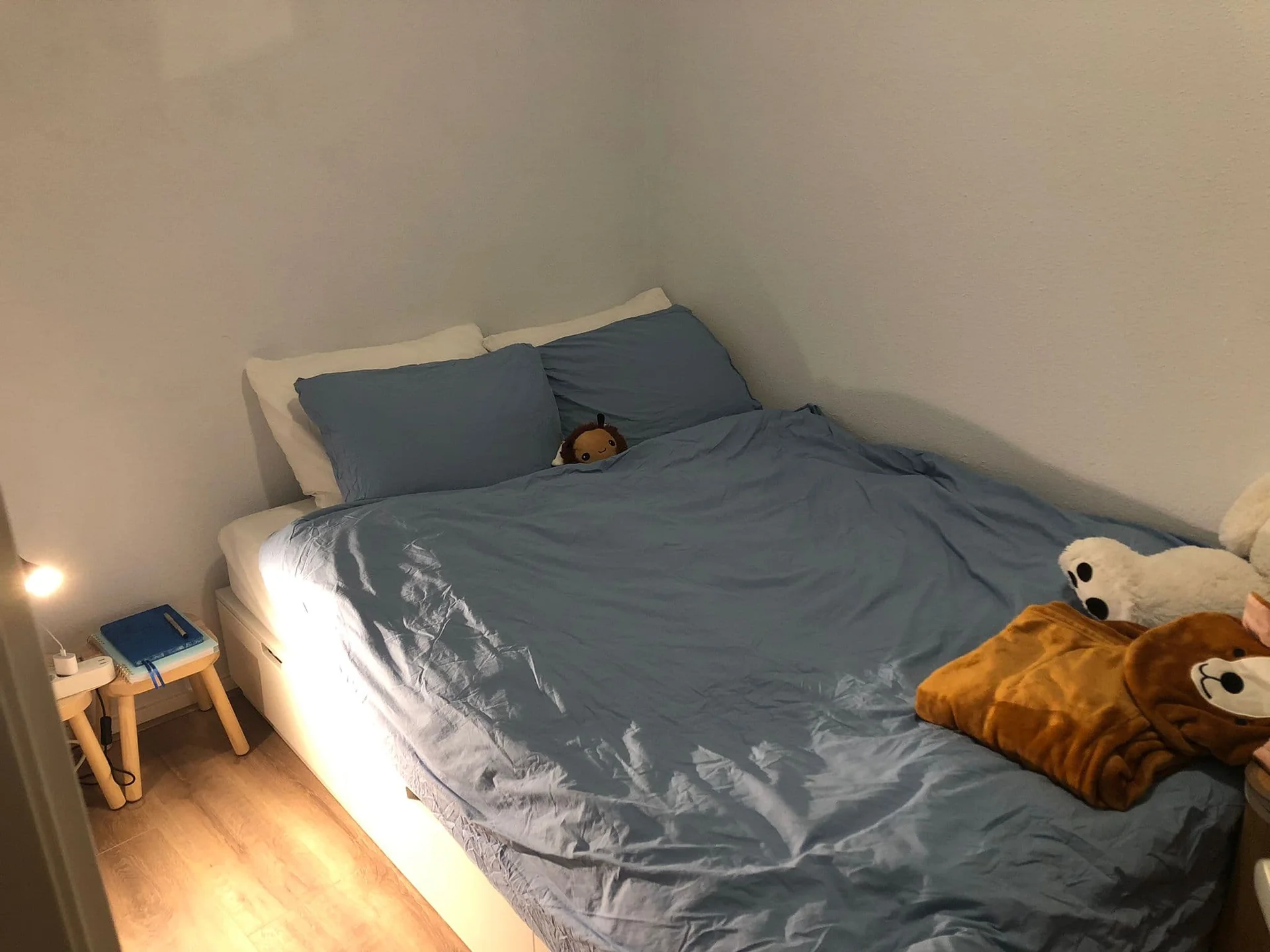 Foto van de Kamer gelegen aan de Boterdiep in Groningen