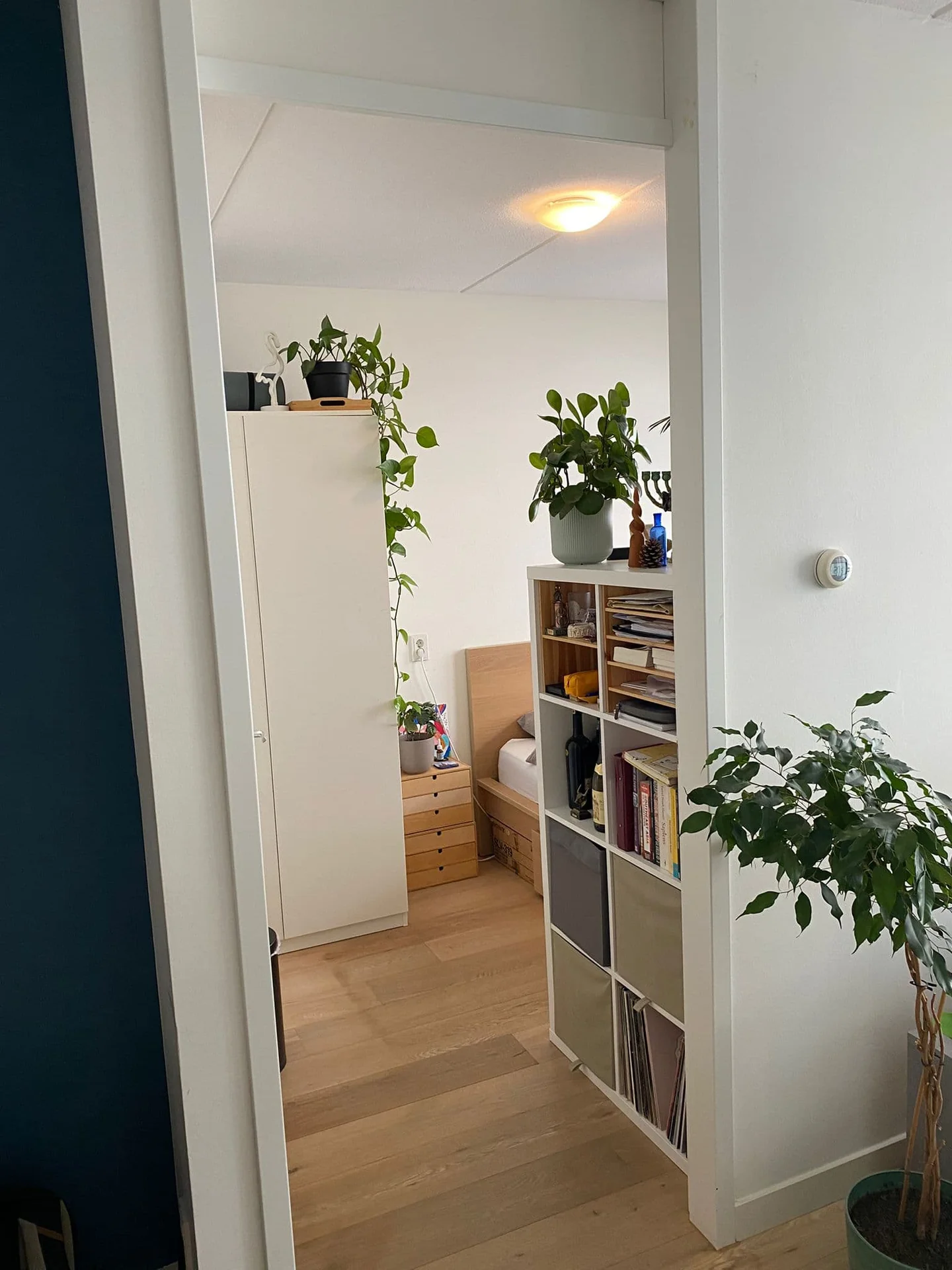 geblurde versie van de foto als achtergrond