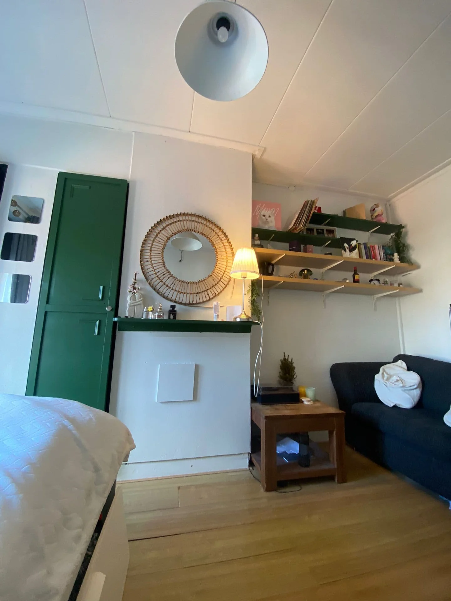 geblurde versie van de foto als achtergrond