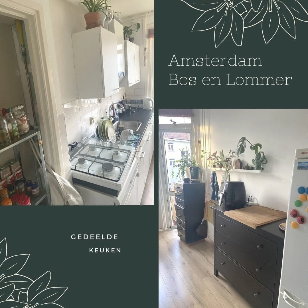 Foto van de Kamer gelegen aan de Erik de Roodestraat in Amsterdam