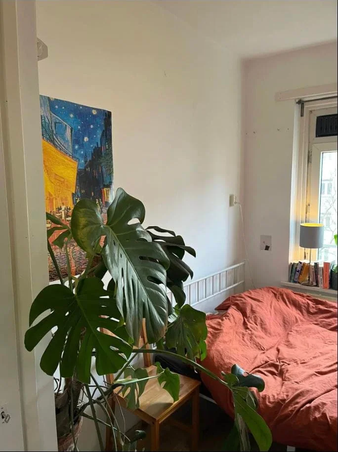 Foto van de Kamer gelegen aan de Erik de Roodestraat in Amsterdam