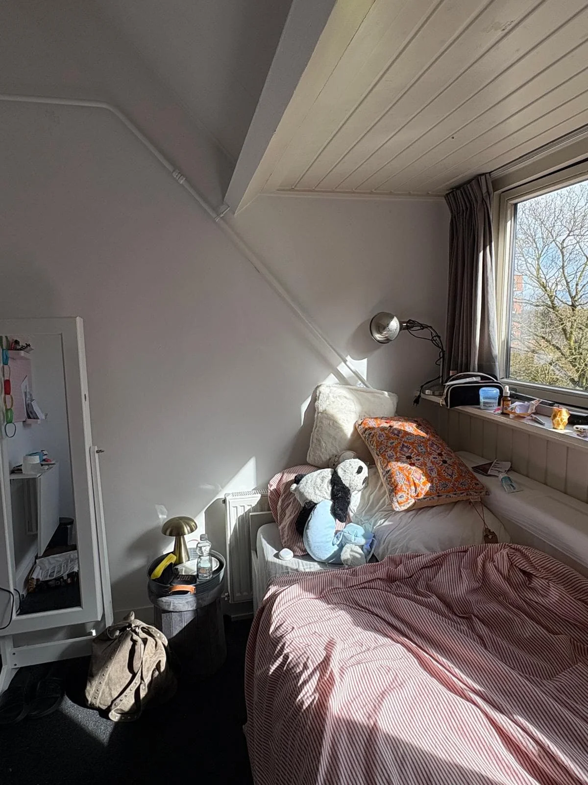 geblurde versie van de foto als achtergrond