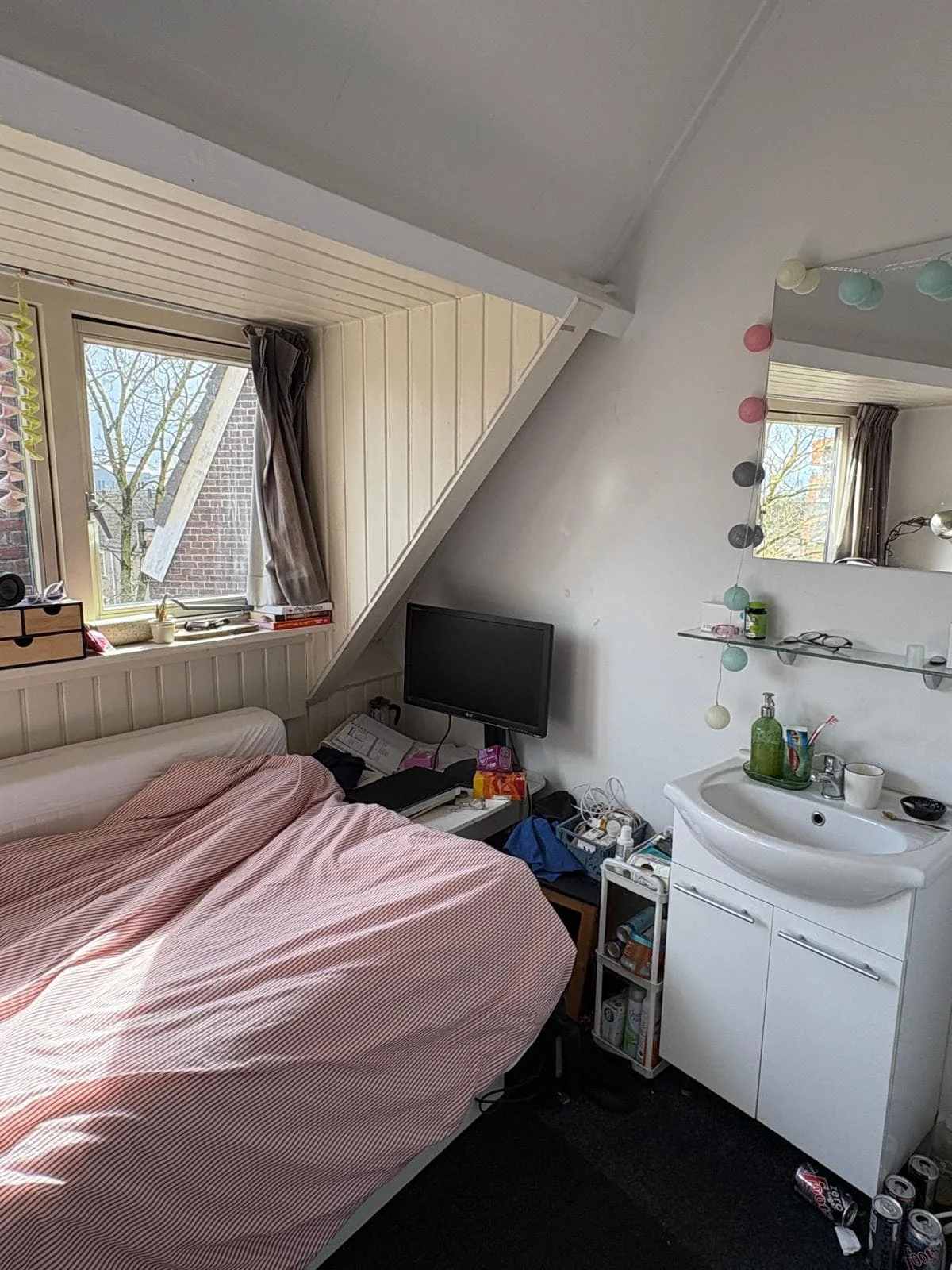 geblurde versie van de foto als achtergrond