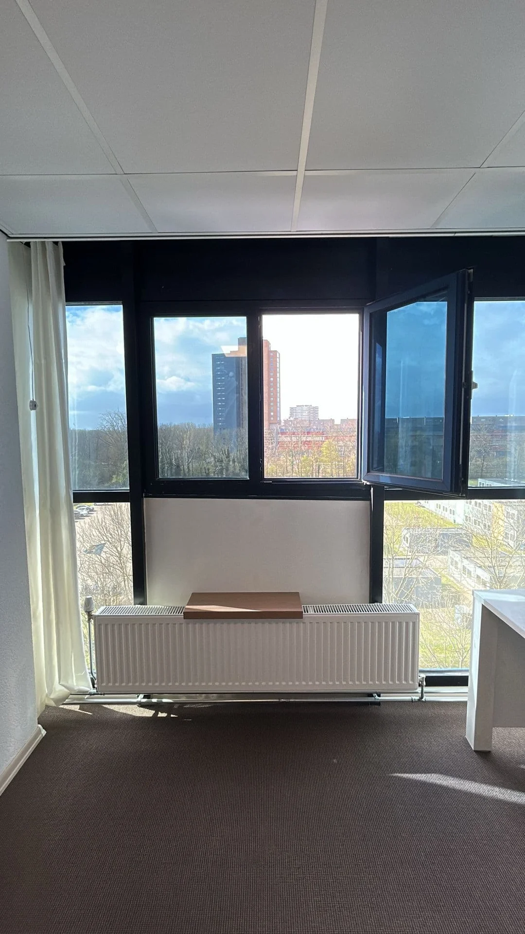 geblurde versie van de foto als achtergrond