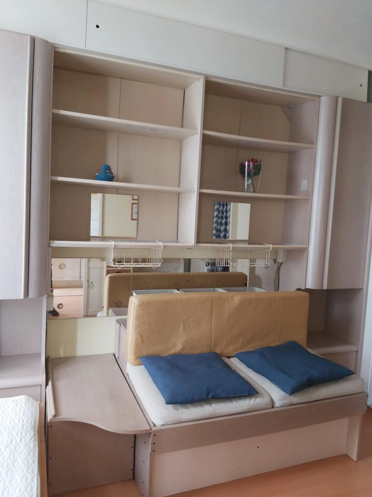 geblurde versie van de foto als achtergrond