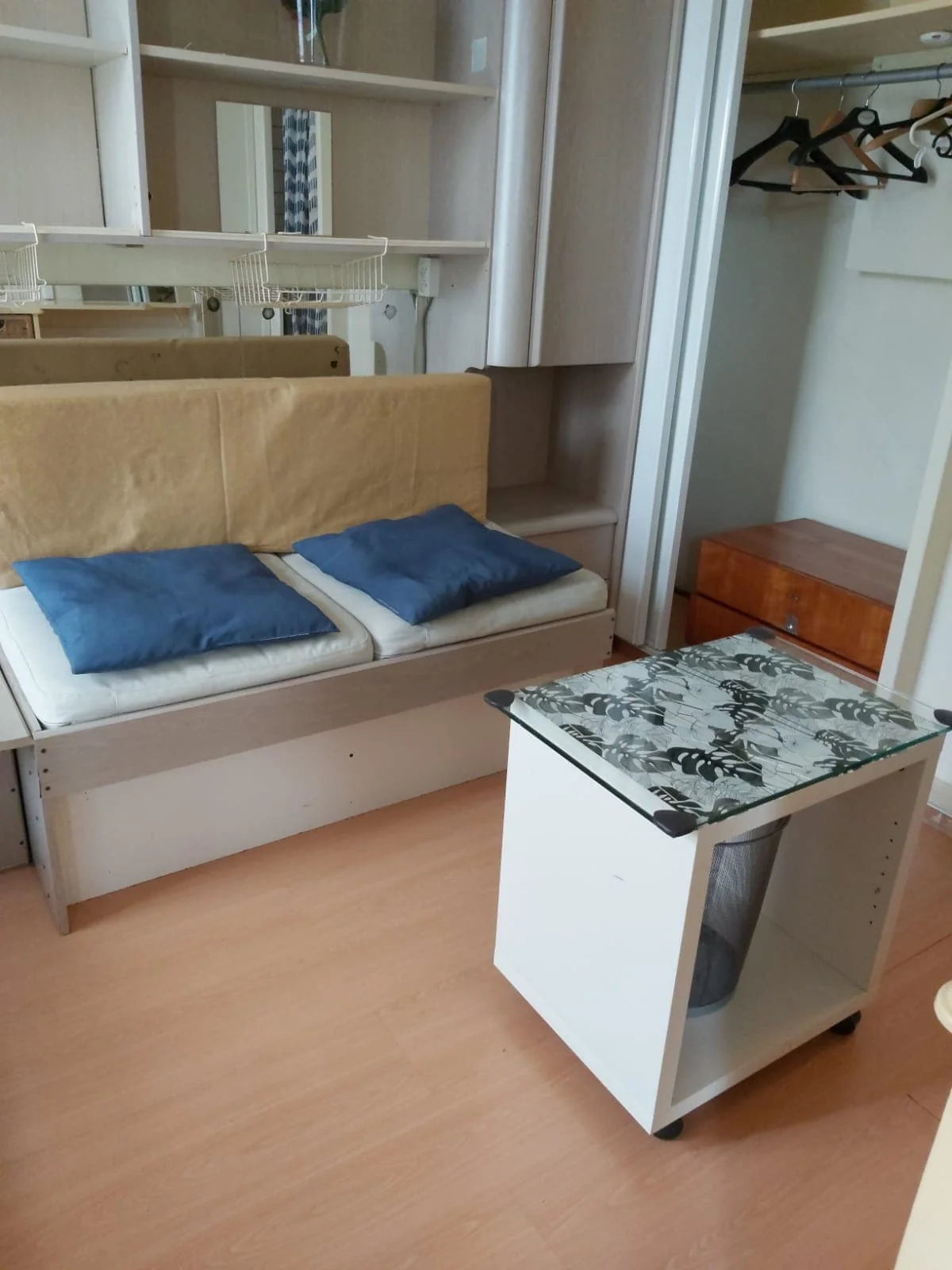 geblurde versie van de foto als achtergrond