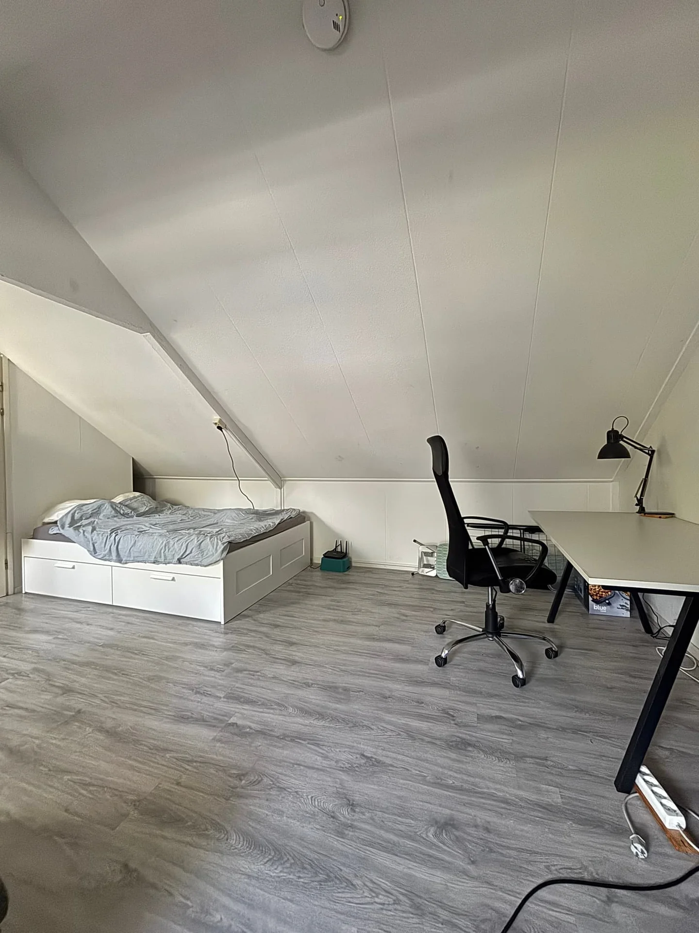 geblurde versie van de foto als achtergrond