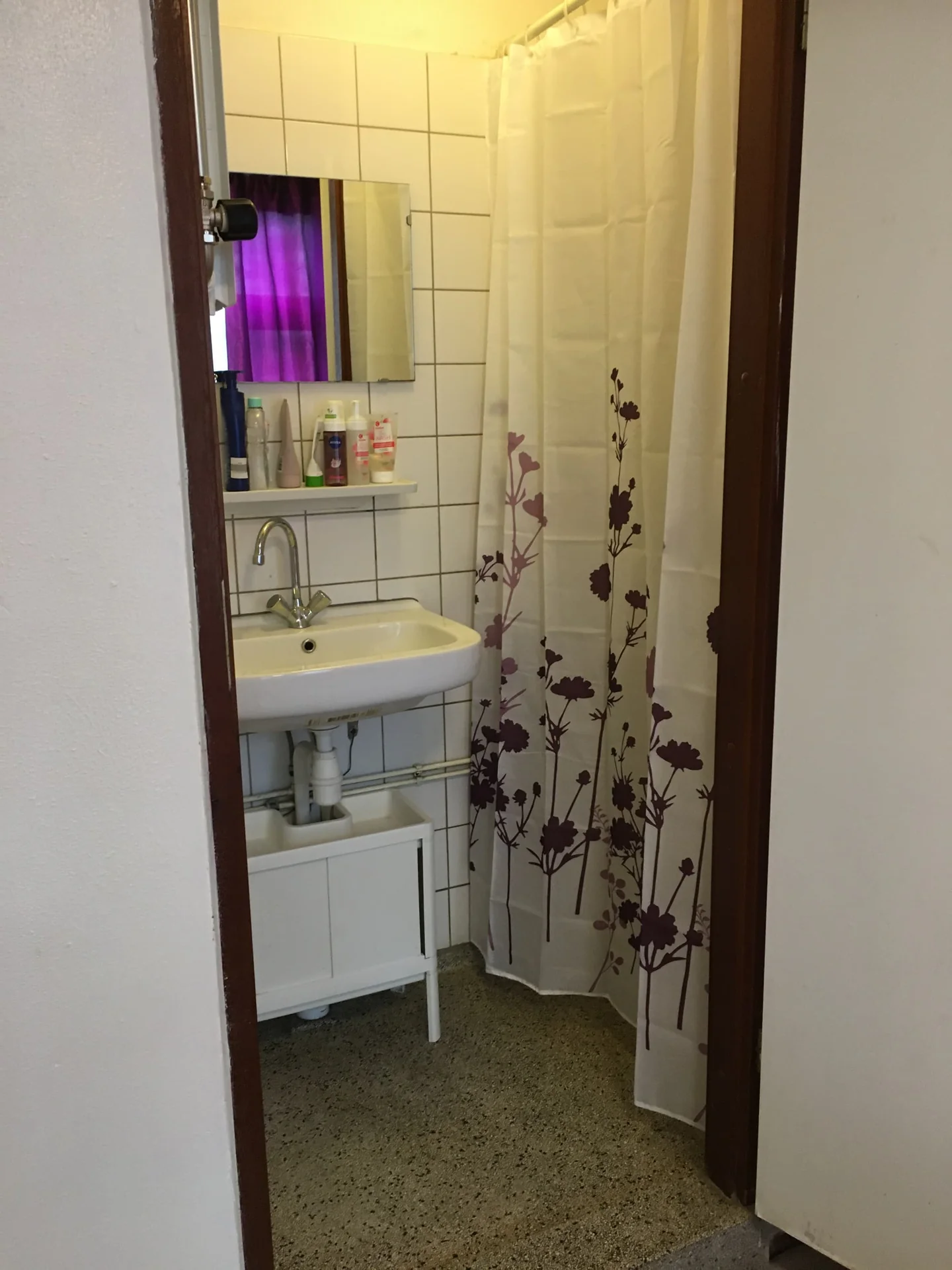 Foto van de Kamer gelegen aan de Nova Zemblastraat in Amsterdam