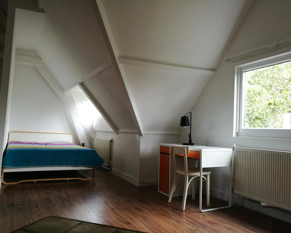 geblurde versie van de foto als achtergrond