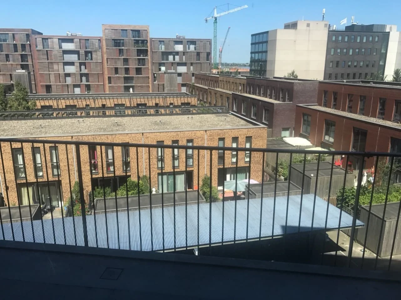 geblurde versie van de foto als achtergrond