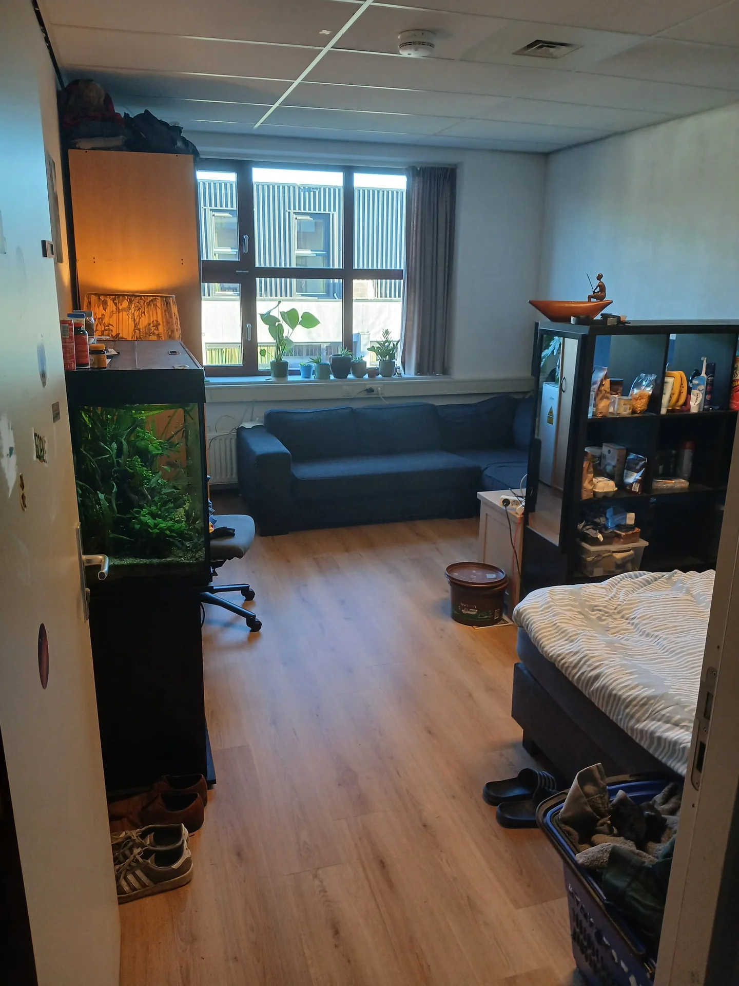 Foto van de Kamer gelegen aan de Plantsoen in Wageningen