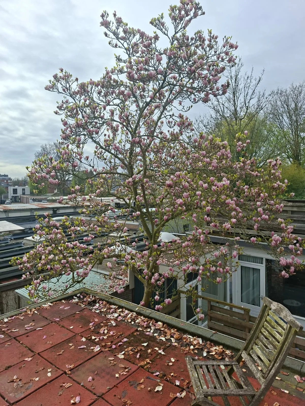 Foto van de Kamer gelegen aan de Teteringenstraat in Breda