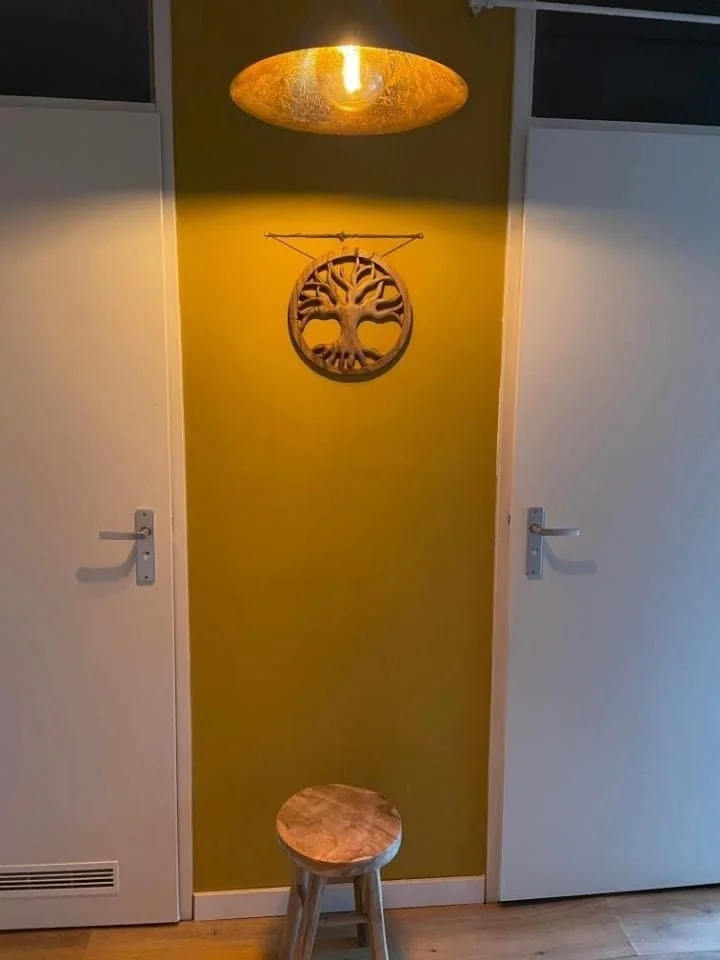 Foto van de Kamer gelegen aan de Dickenslaan in Amsterdam