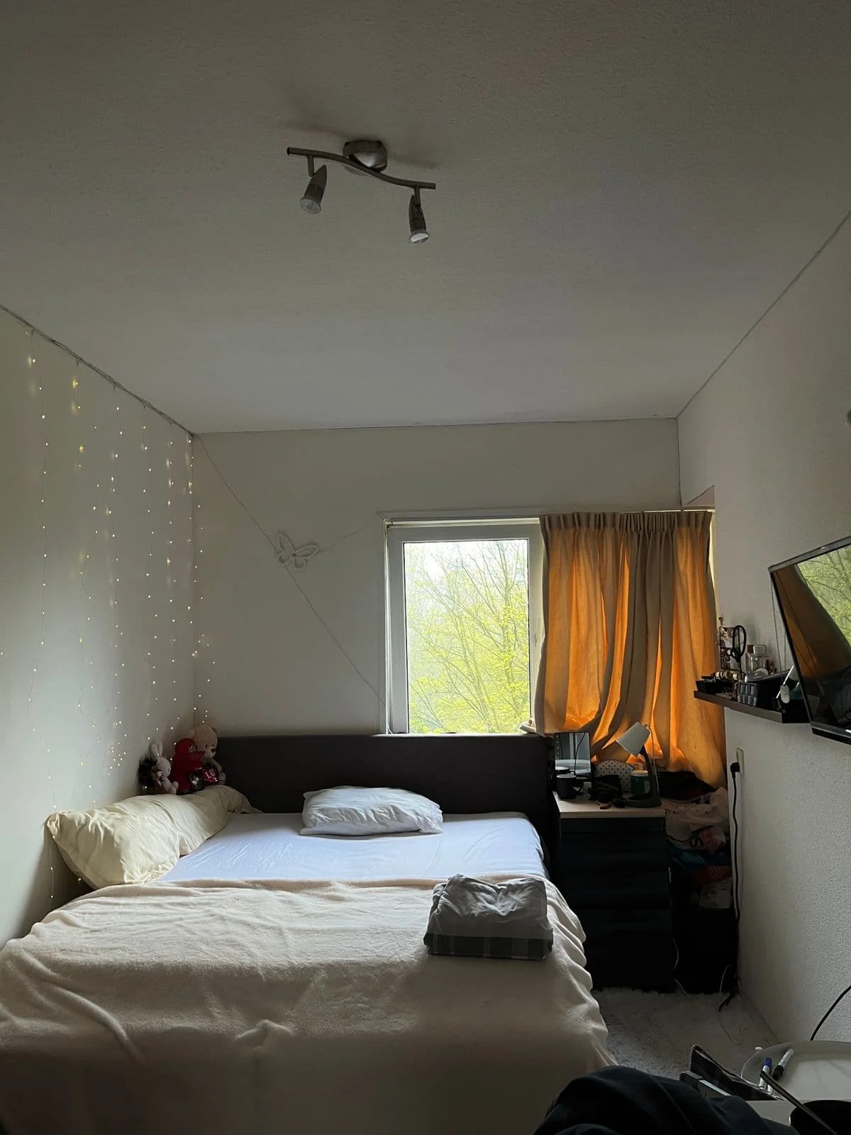 Foto van de Kamer gelegen aan de Groenhoven in Amsterdam