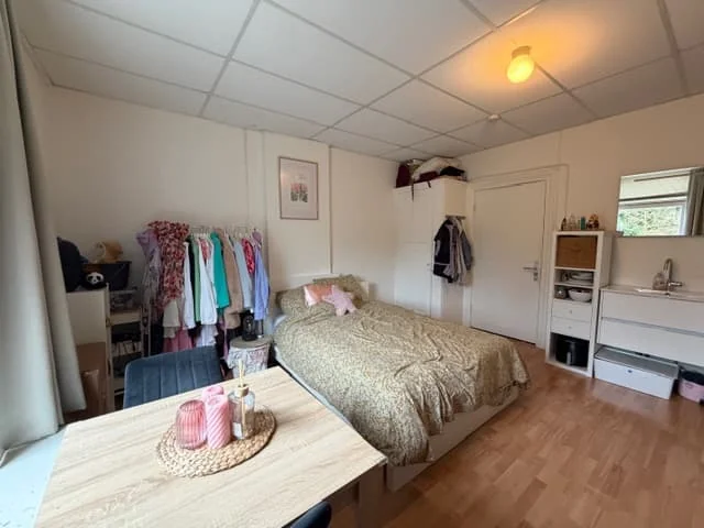 geblurde versie van de foto als achtergrond