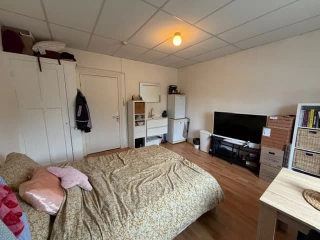 geblurde versie van de foto als achtergrond