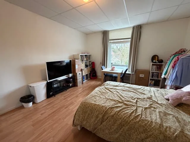 geblurde versie van de foto als achtergrond