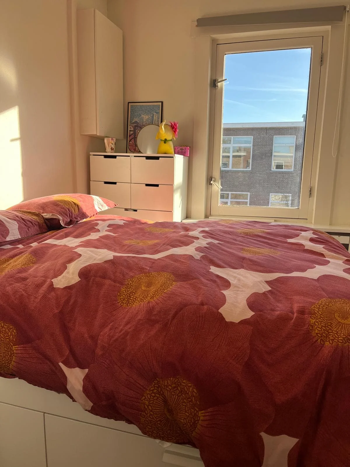 Foto van de Appartement gelegen aan de Kamperfoeliestraat in Den Haag