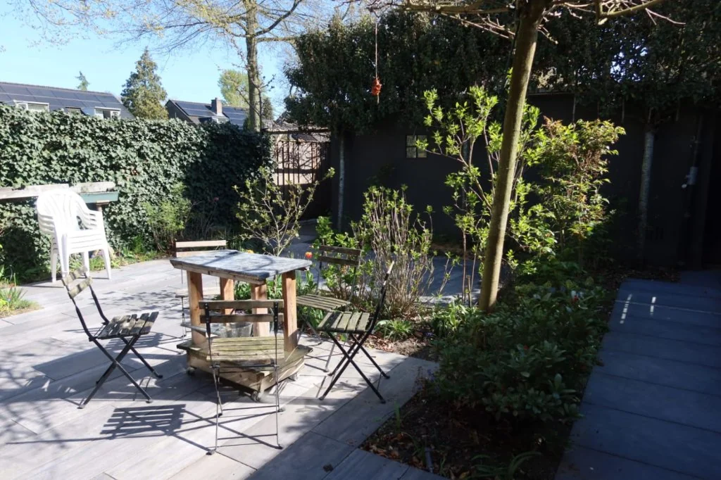 geblurde versie van de foto als achtergrond