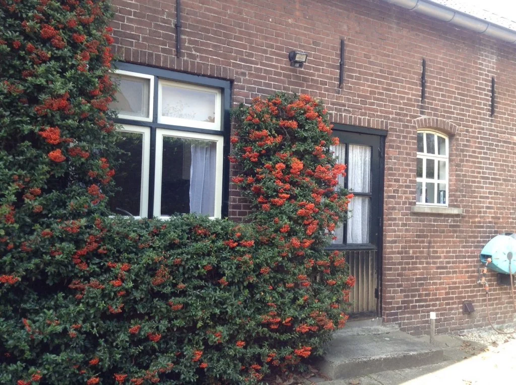 Foto van de Studio gelegen aan de Benedeneindseweg in Deil