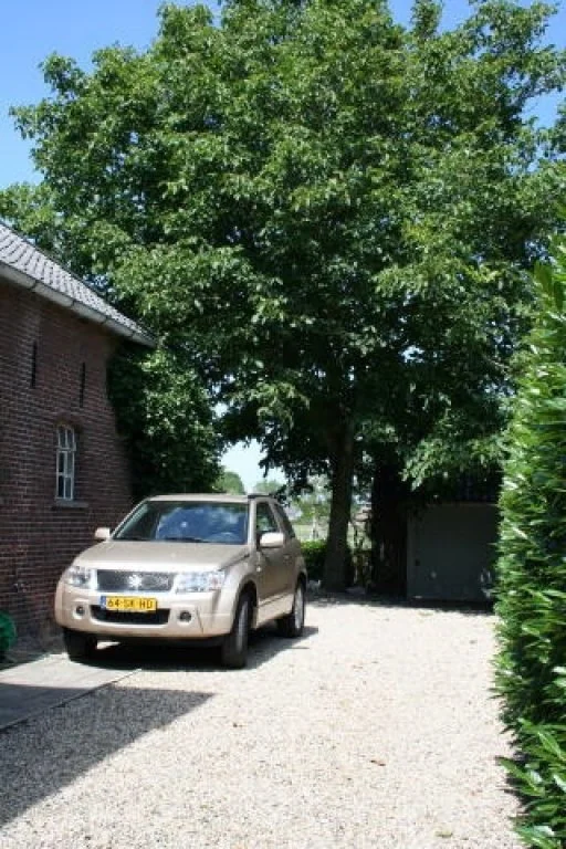 Foto van de Studio gelegen aan de Benedeneindseweg in Deil
