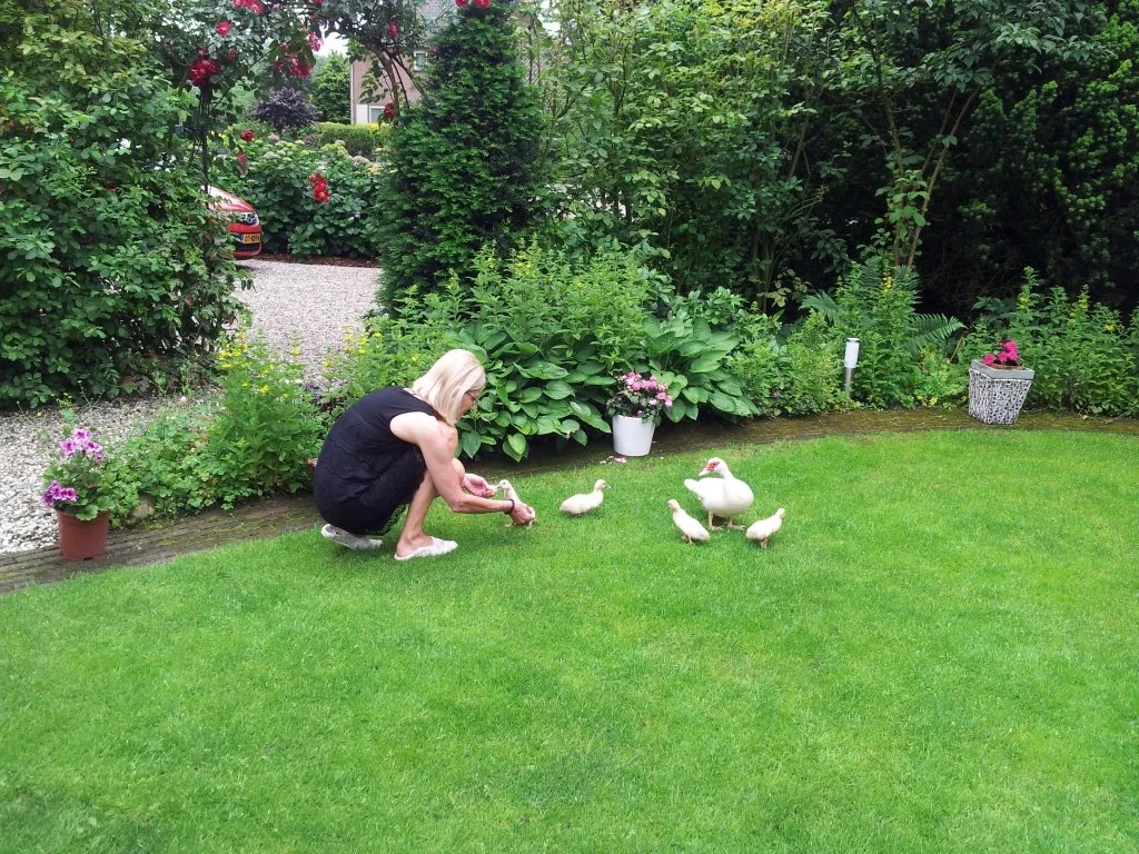 Foto van de Studio gelegen aan de Benedeneindseweg in Deil
